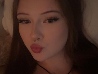 Abs7719 cam model preview