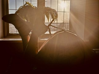 KatieCarterX cam model preview