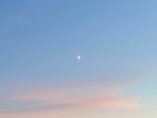 Scarlett222 cam profile image